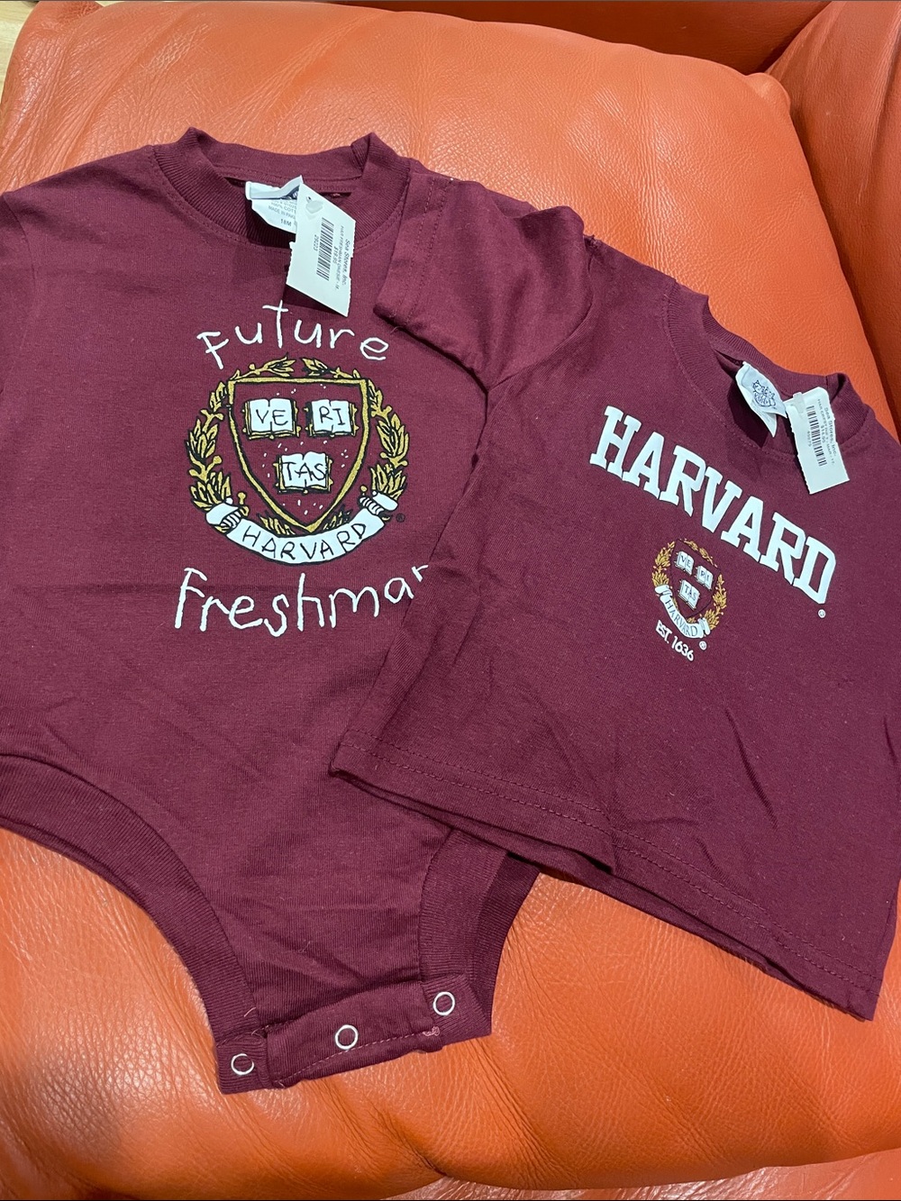 🔥NWT🔥 Harvard onesie 18 month and T-shirt 12 month bundle